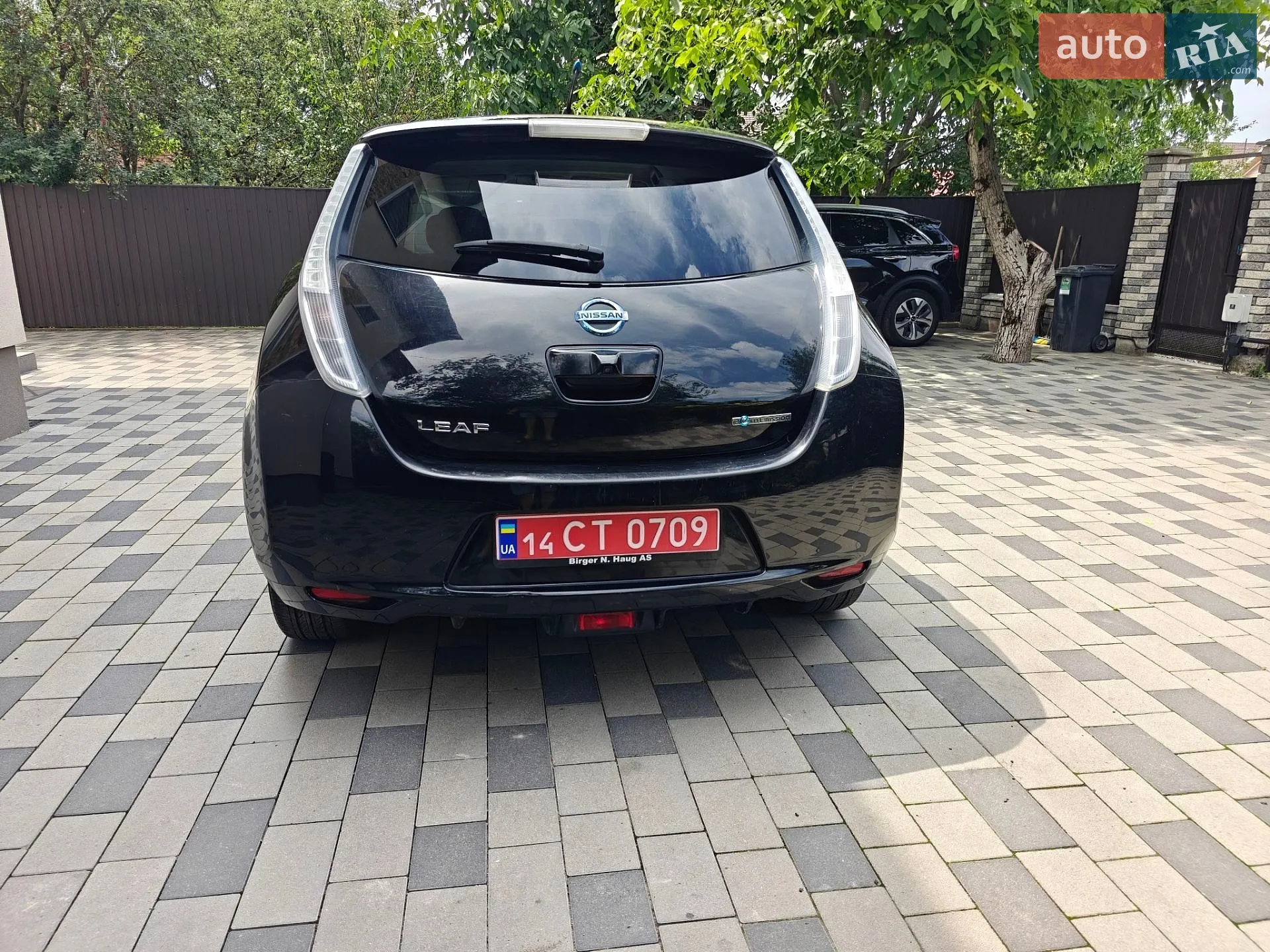 2013 Nissan Leaf - мініатюра 13