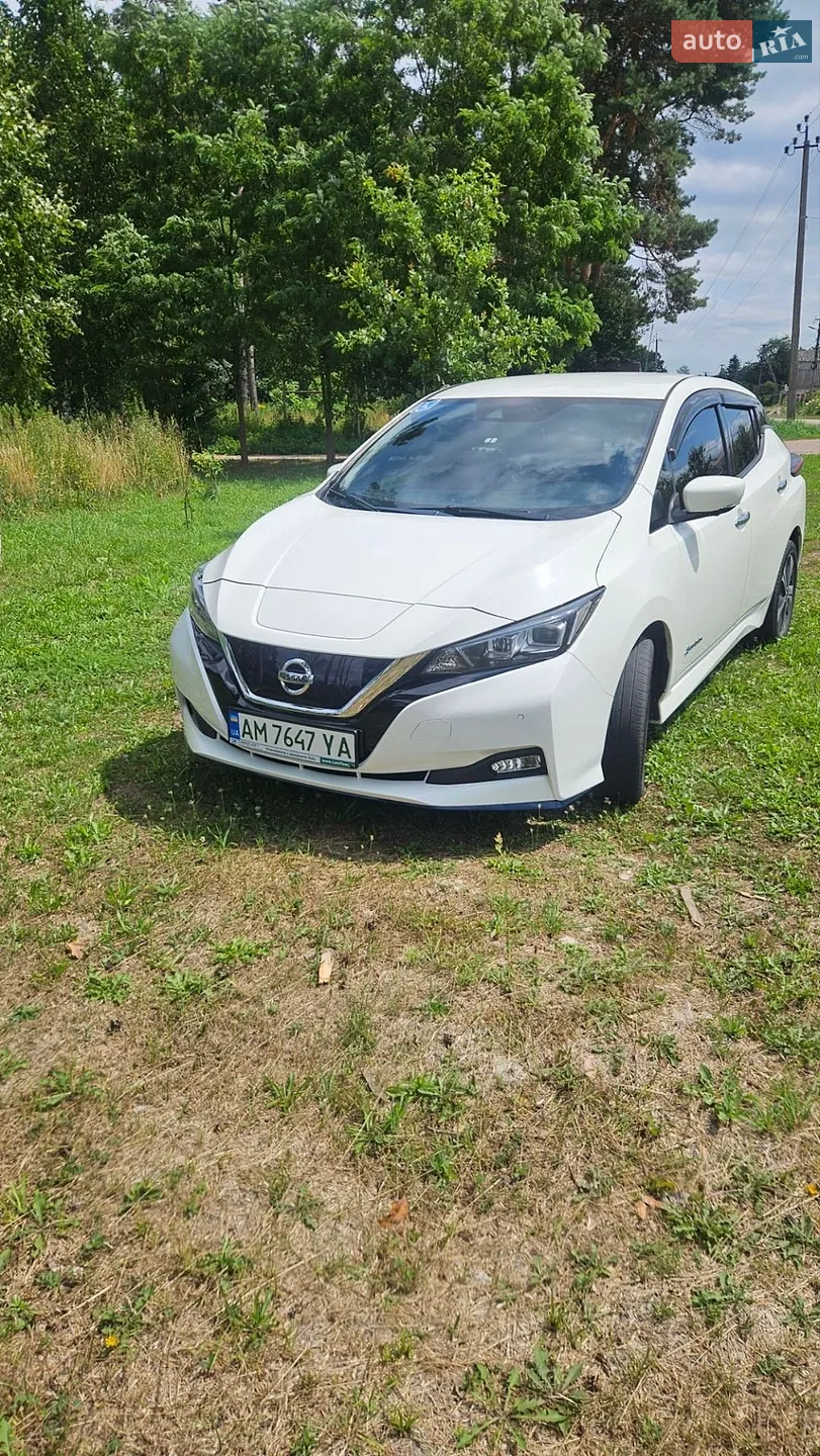 2019 Nissan Leaf - фото 1