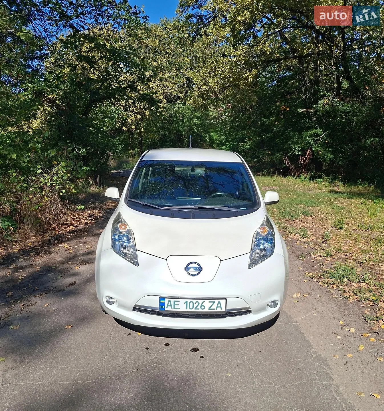 2013 Nissan Leaf - мініатюра 11