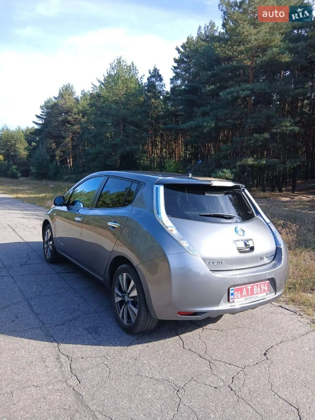 2013 Nissan Leaf - мініатюра 2