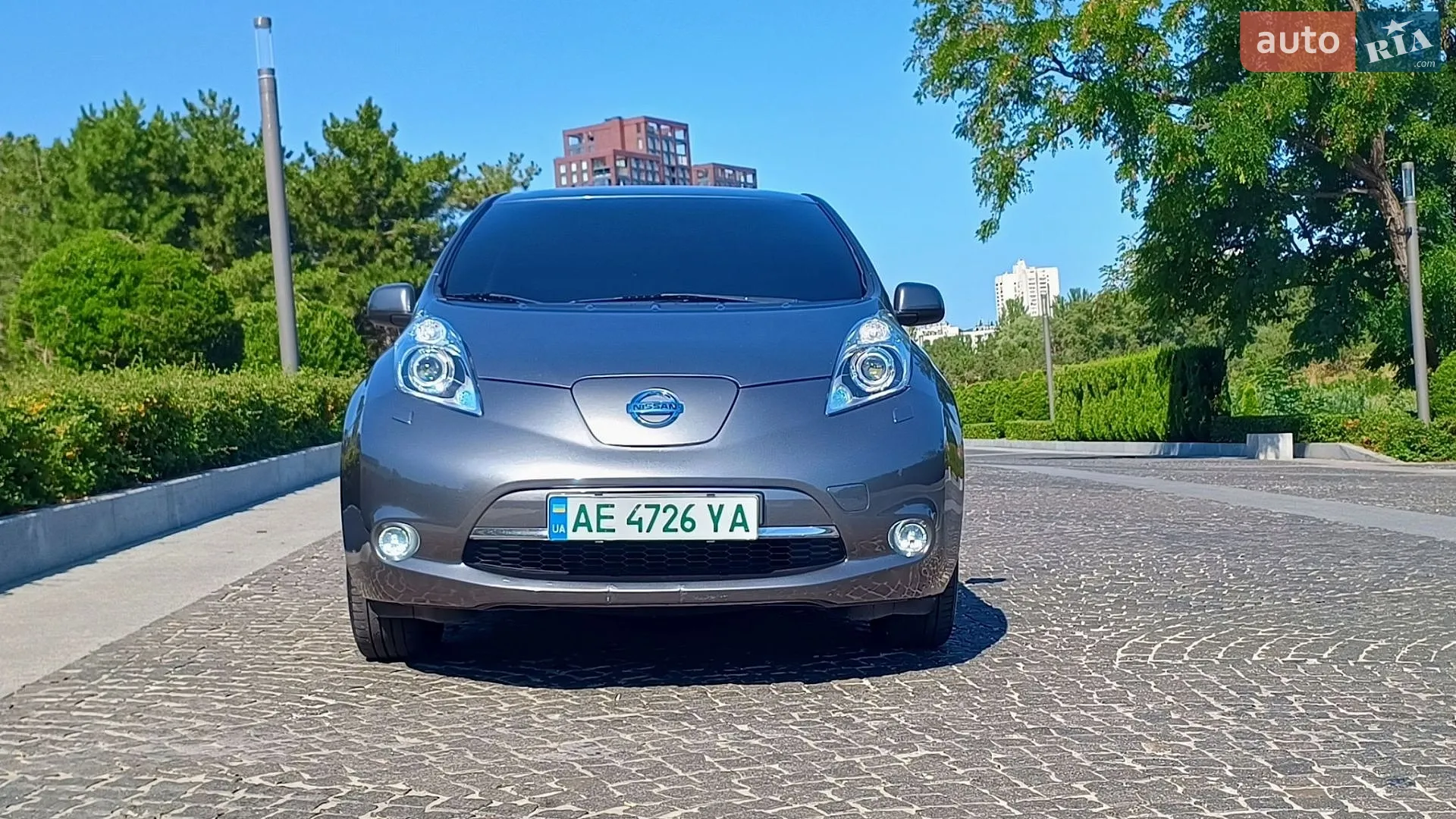 2013 Nissan Leaf - фото 1