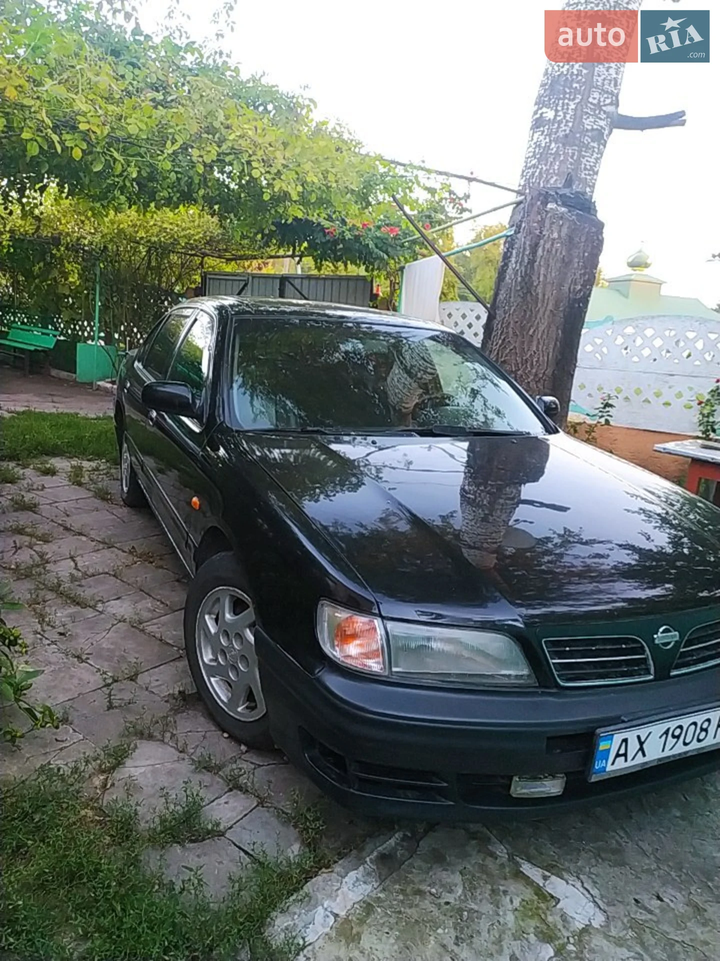 Фото авто 6