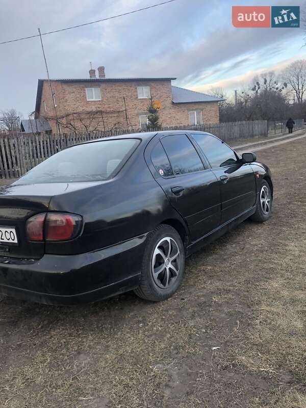 Седан Nissan Primera 2002 в Радехові