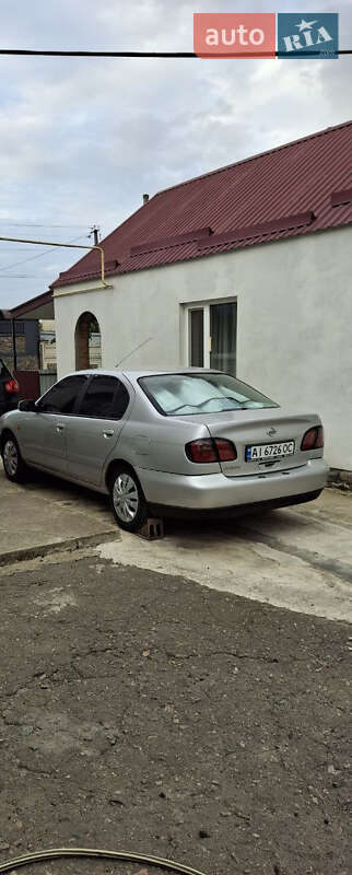 Седан Nissan Primera 2001 в Тростянце фото 19 Седан Nissan Primera 2001 в Тростянце