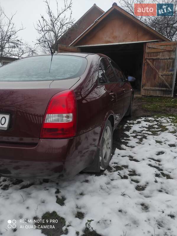 Лифтбек Nissan Primera 2003 в Здолбунове