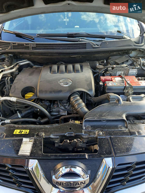 Внедорожник / Кроссовер Nissan Qashqai 2010 в Звягеле фото 12 Внедорожник / Кроссовер Nissan Qashqai 2010 в Звягеле