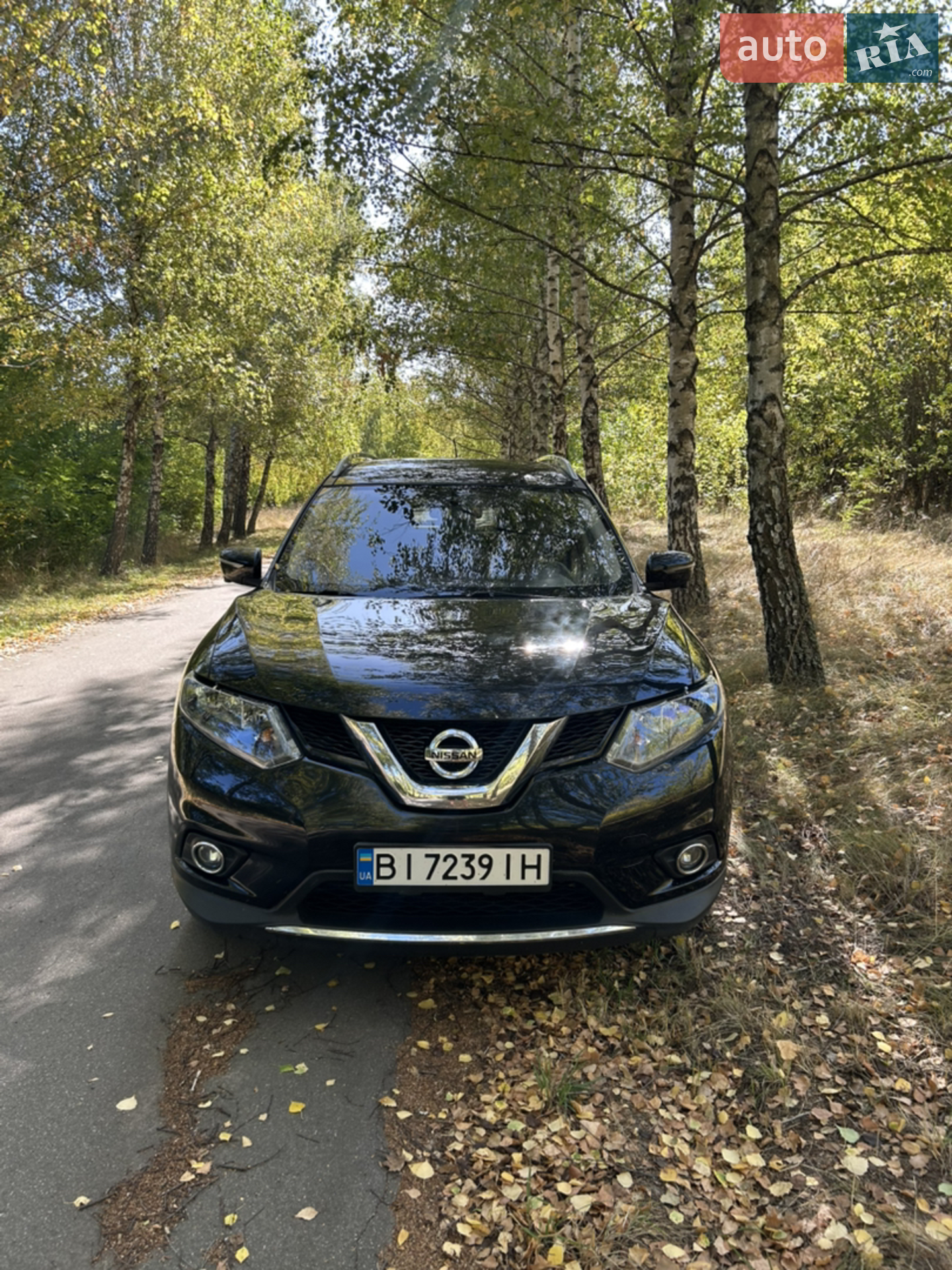 2016 Nissan Rogue - мініатюра 2
