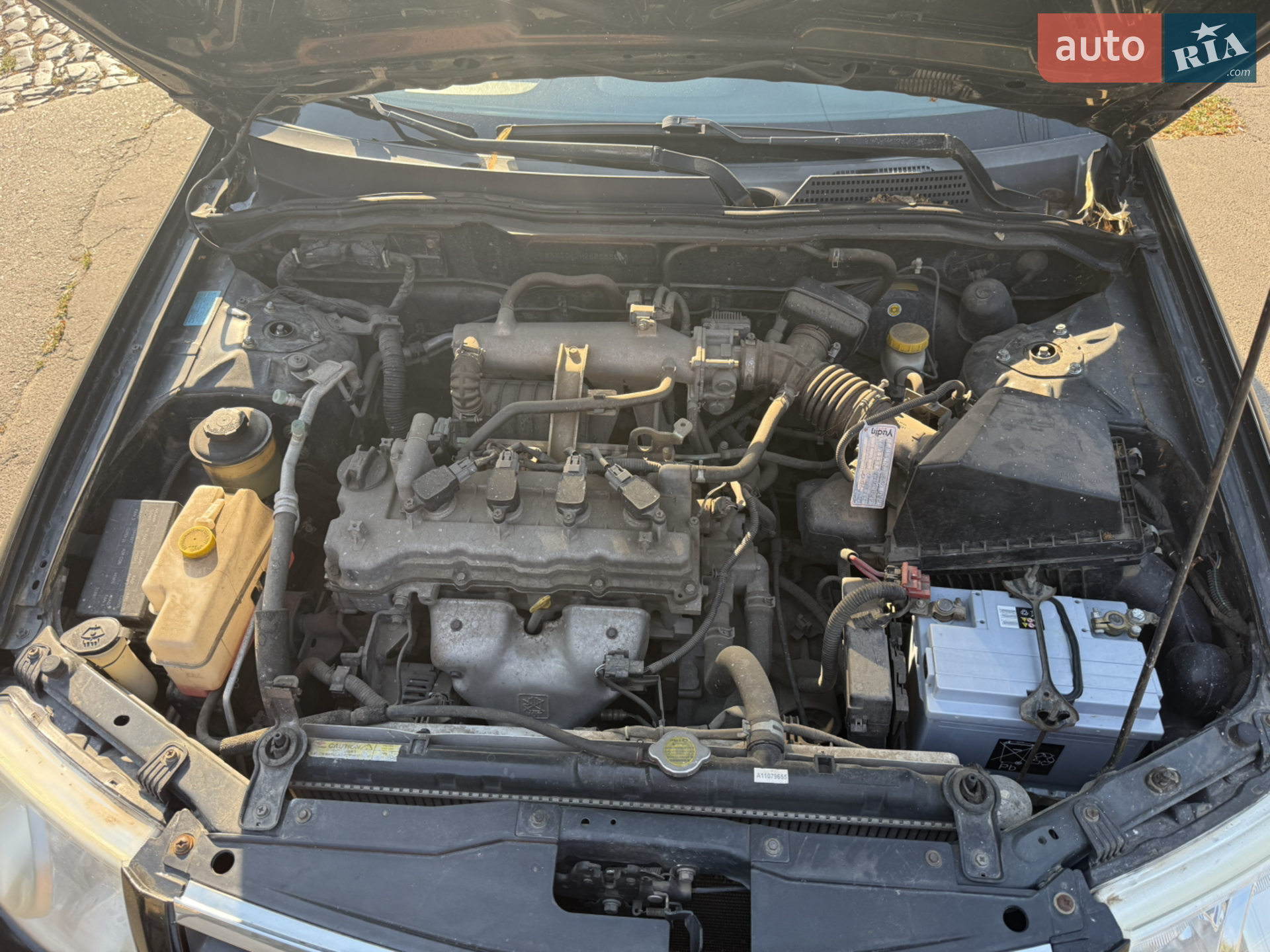 Nissan Sunny 2008 VIN KNMCC42H28P685006 фото оголошення 21 з 23