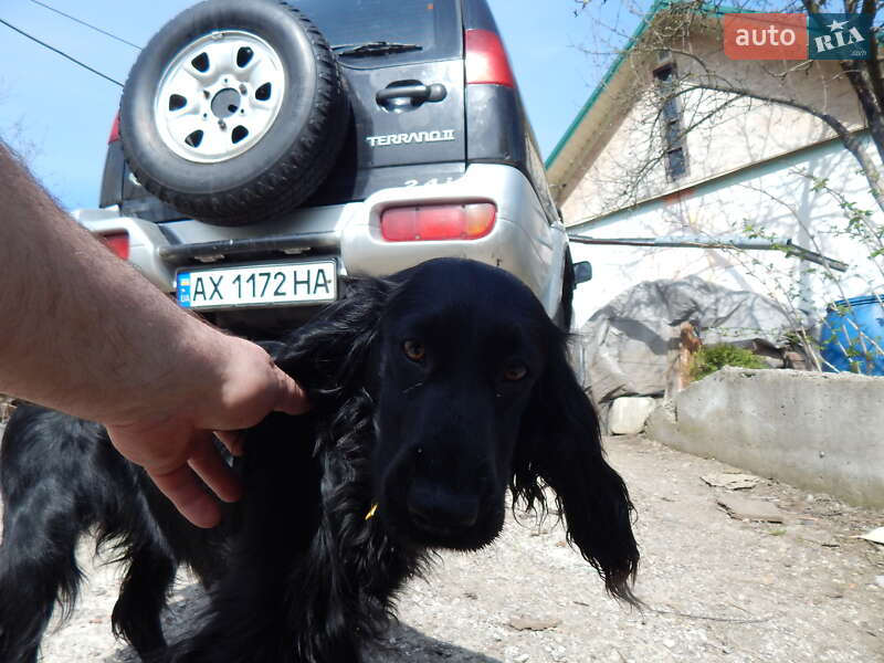 Позашляховик / Кросовер Nissan Terrano 1998 в Харкові