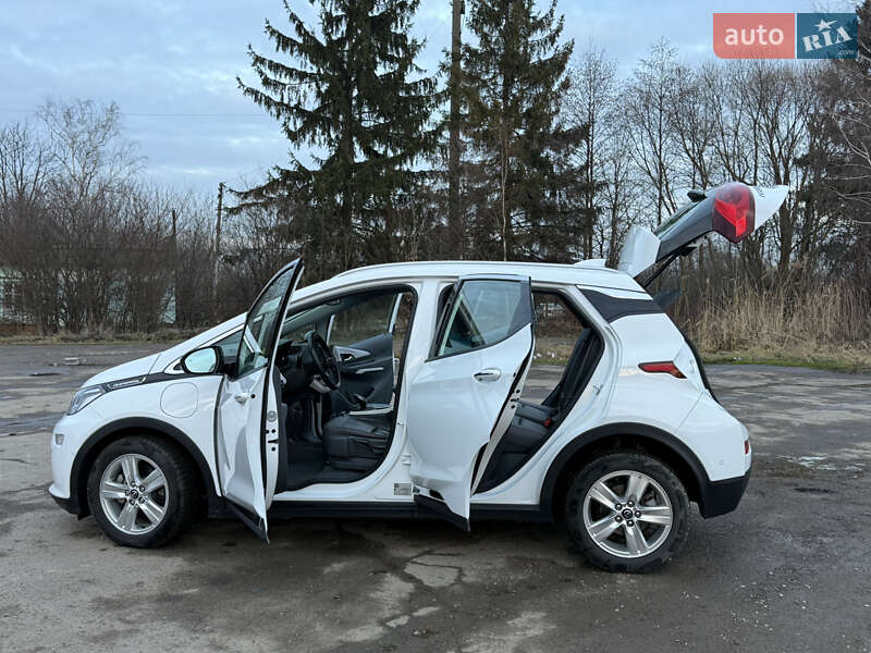 Хэтчбек Opel Ampera-e 2019 в Львове фото 47 Хэтчбек Opel Ampera-e 2019 в Львове