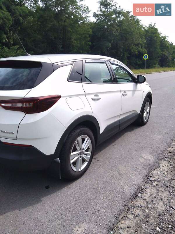 Внедорожник / Кроссовер Opel Grandland X 2019 в Красилове