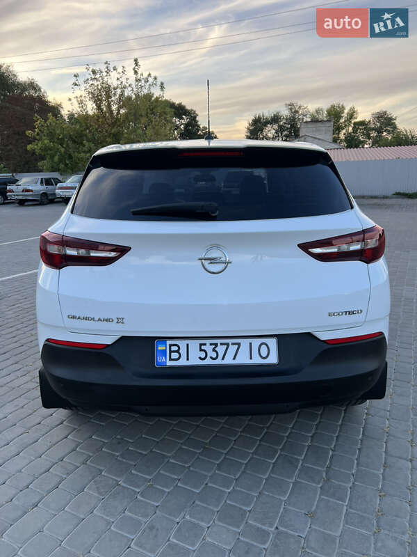 Внедорожник / Кроссовер Opel Grandland X 2020 в Козельщине фото 8 Внедорожник / Кроссовер Opel Grandland X 2020 в Козельщине