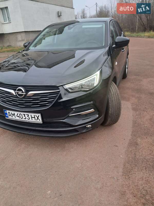 Внедорожник / Кроссовер Opel Grandland X 2019 в Коростене фото 38 Внедорожник / Кроссовер Opel Grandland X 2019 в Коростене