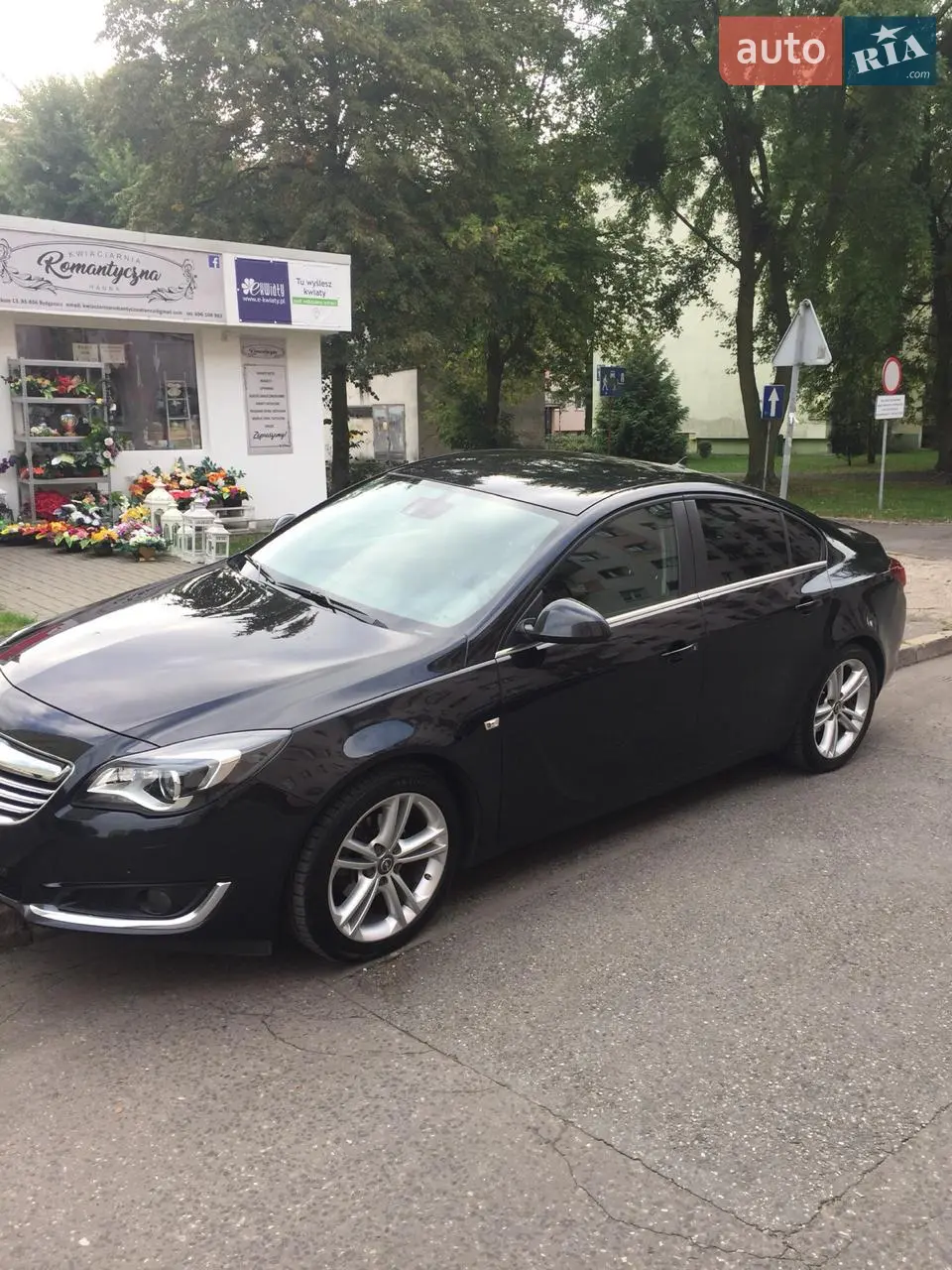 2013 Opel Insignia - мініатюра 2