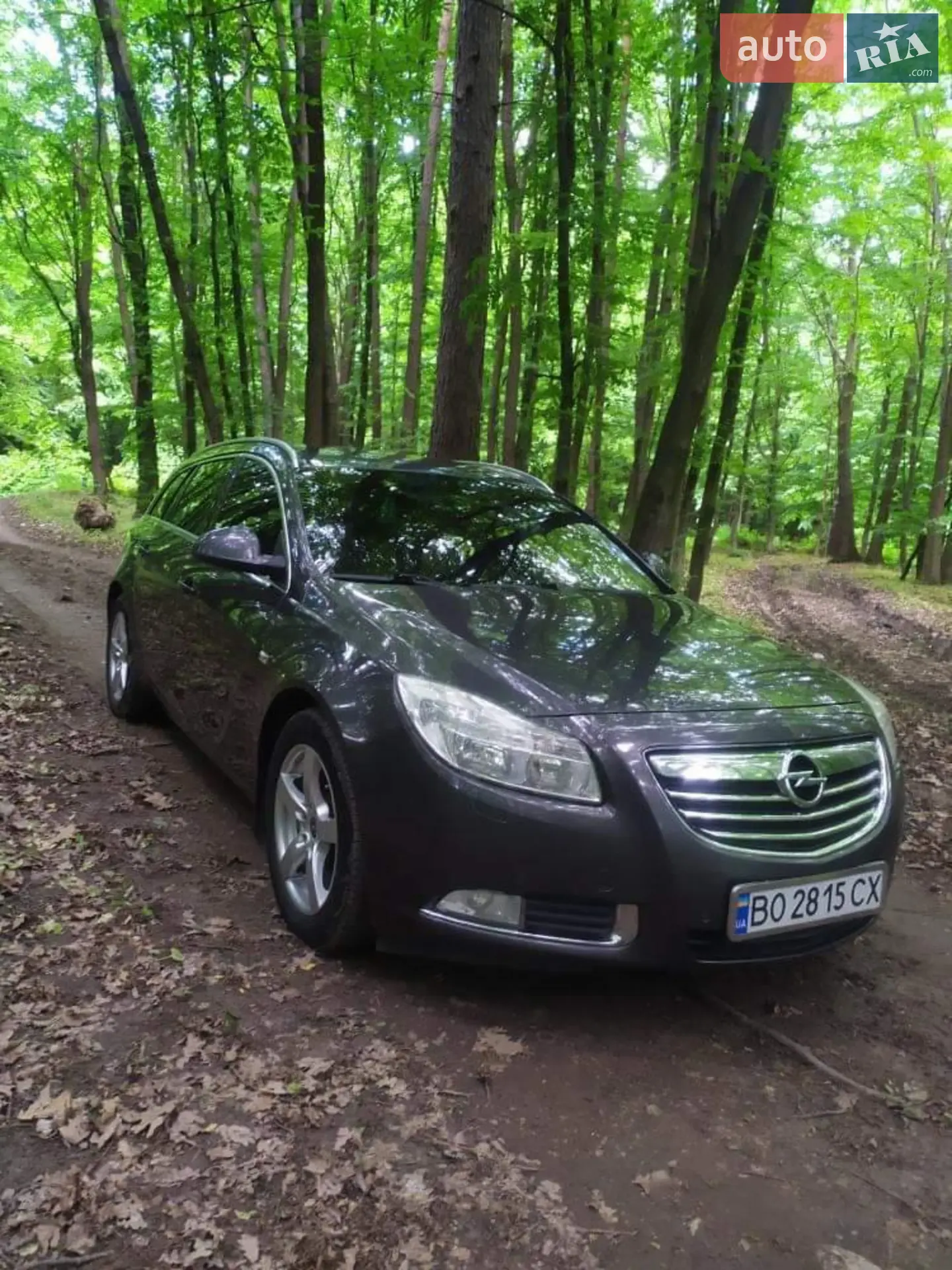 2010 Opel Insignia - фото 1
