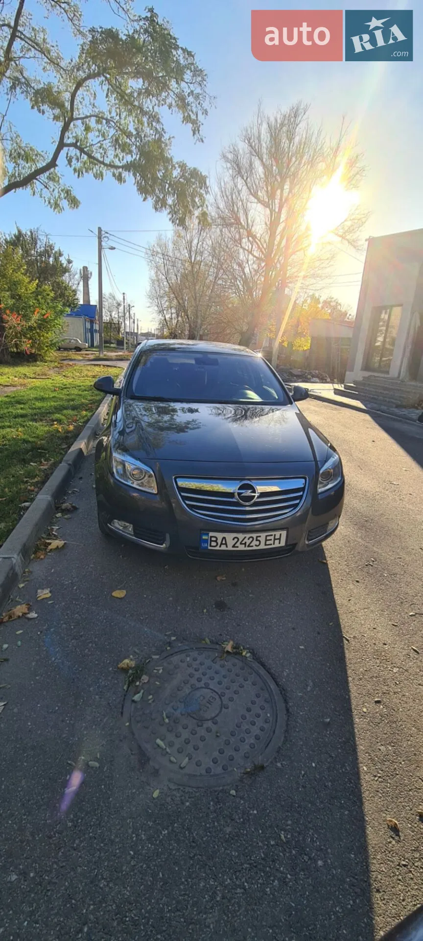 2010 Opel Insignia - фото 1