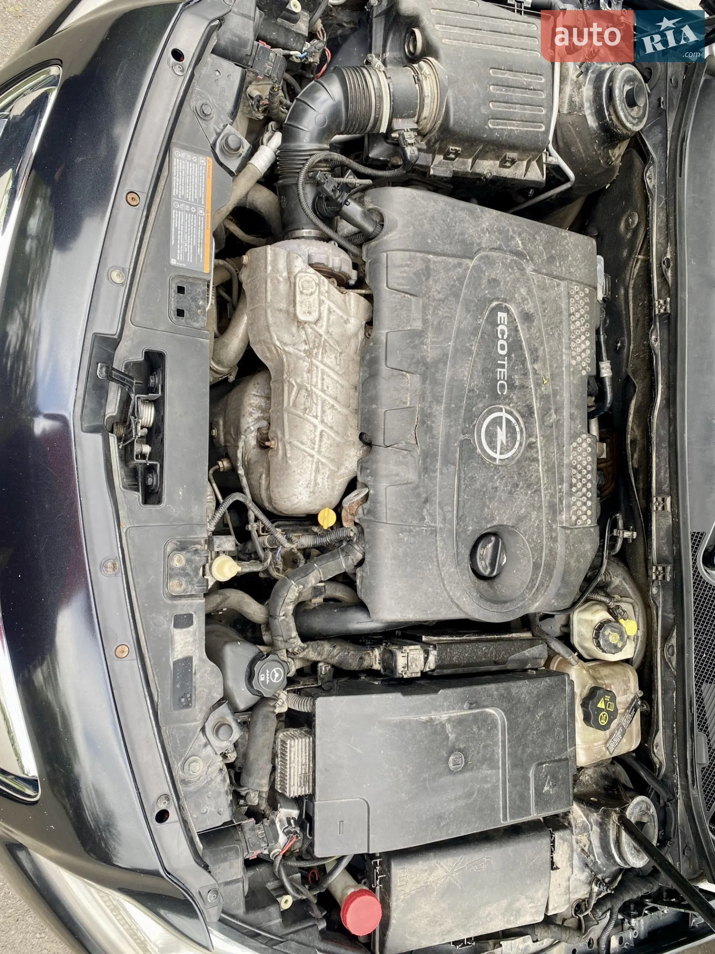 2010 Opel Insignia - мініатюра 16