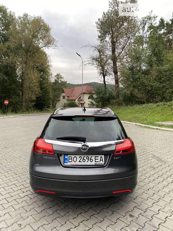 Универсал Opel Insignia 2012 в Залещиках