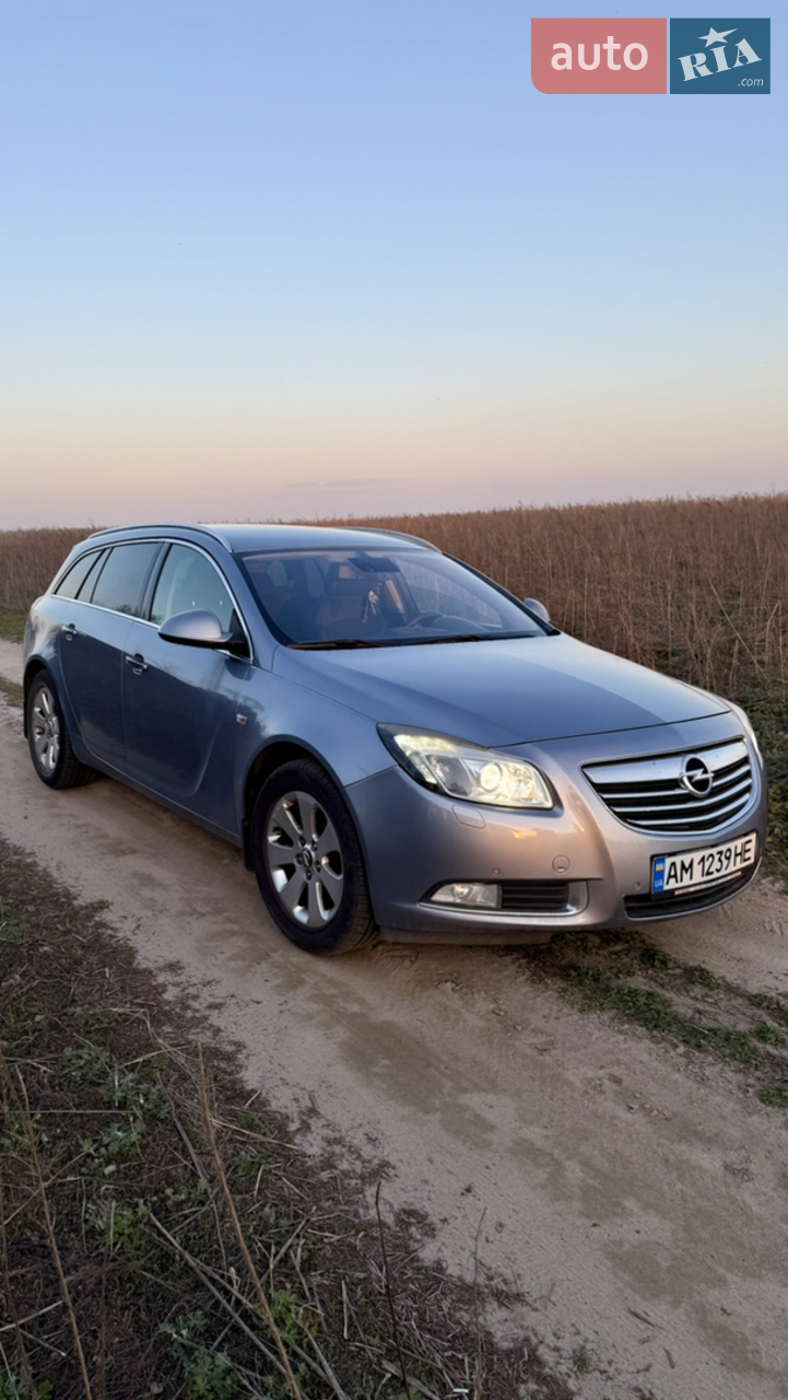 2010 Opel Insignia - мініатюра 24