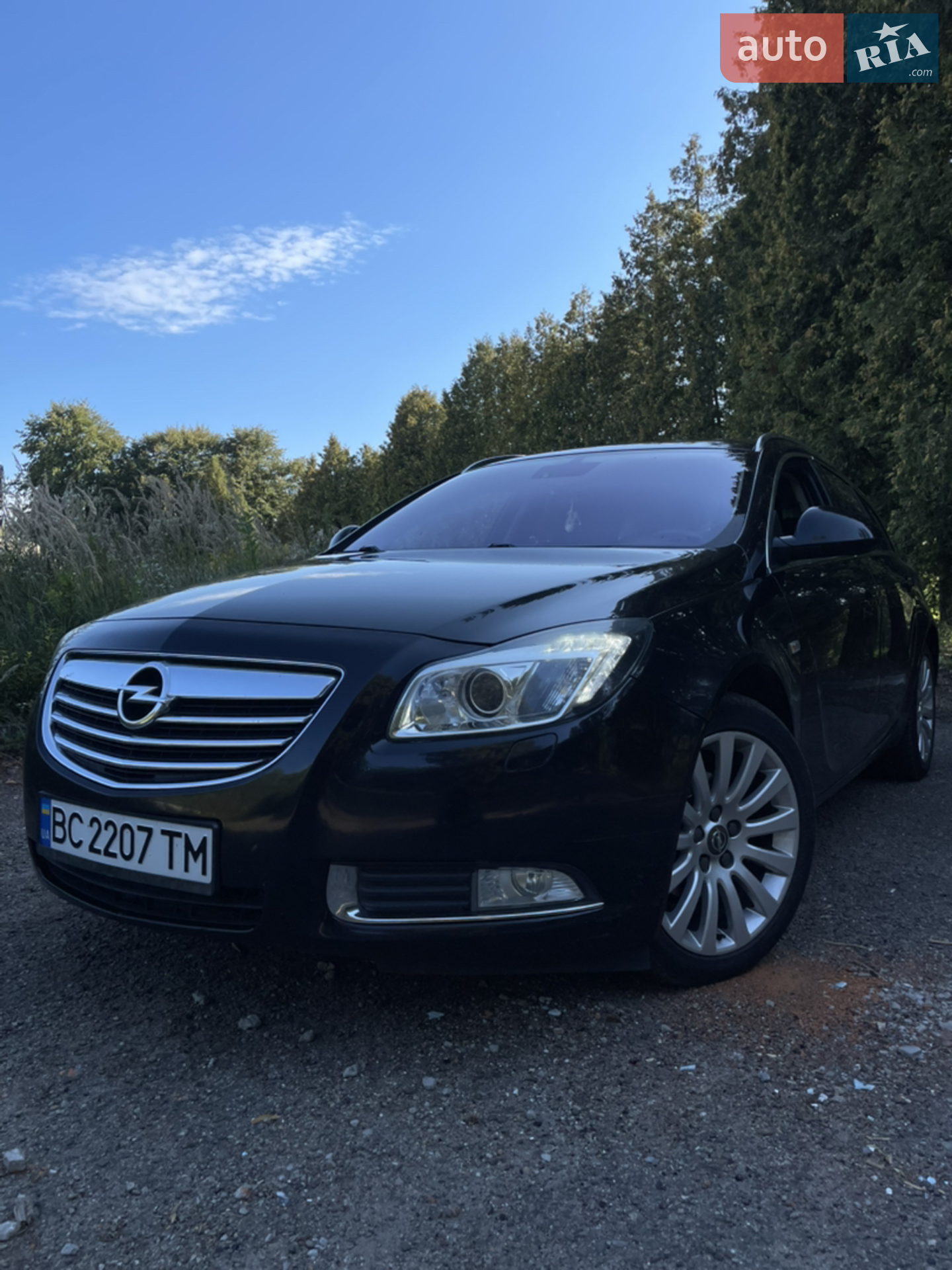 2010 Opel Insignia - мініатюра 2