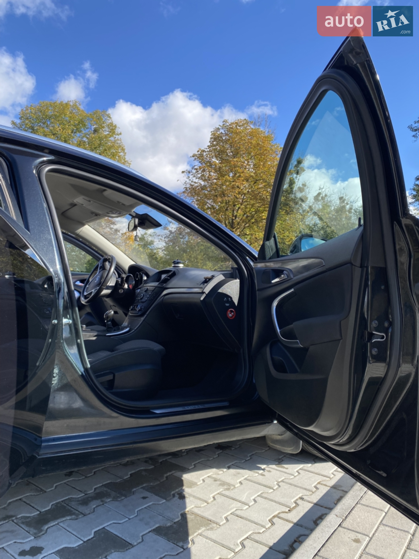 2010 Opel Insignia - мініатюра 4
