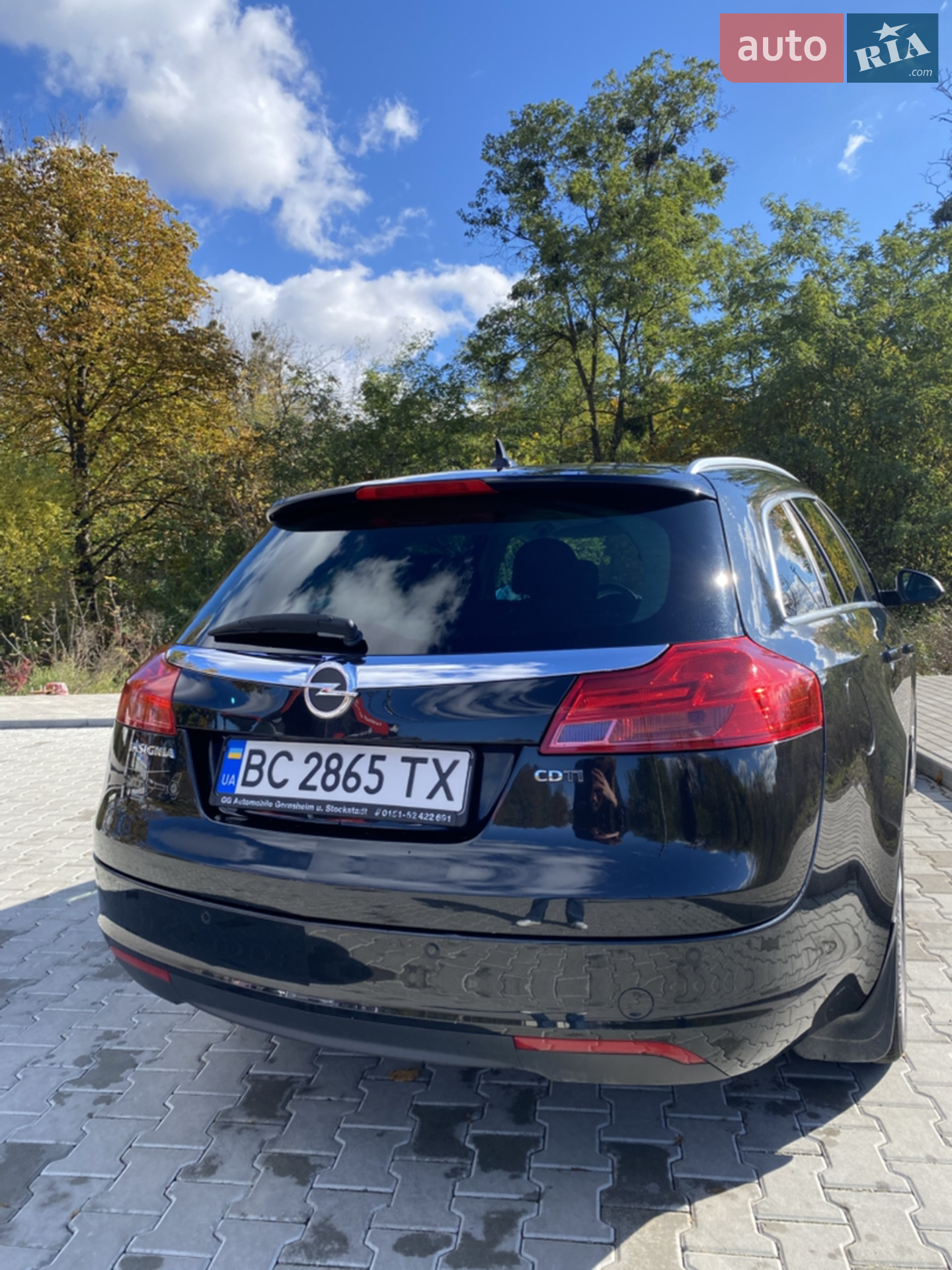 2010 Opel Insignia - мініатюра 3