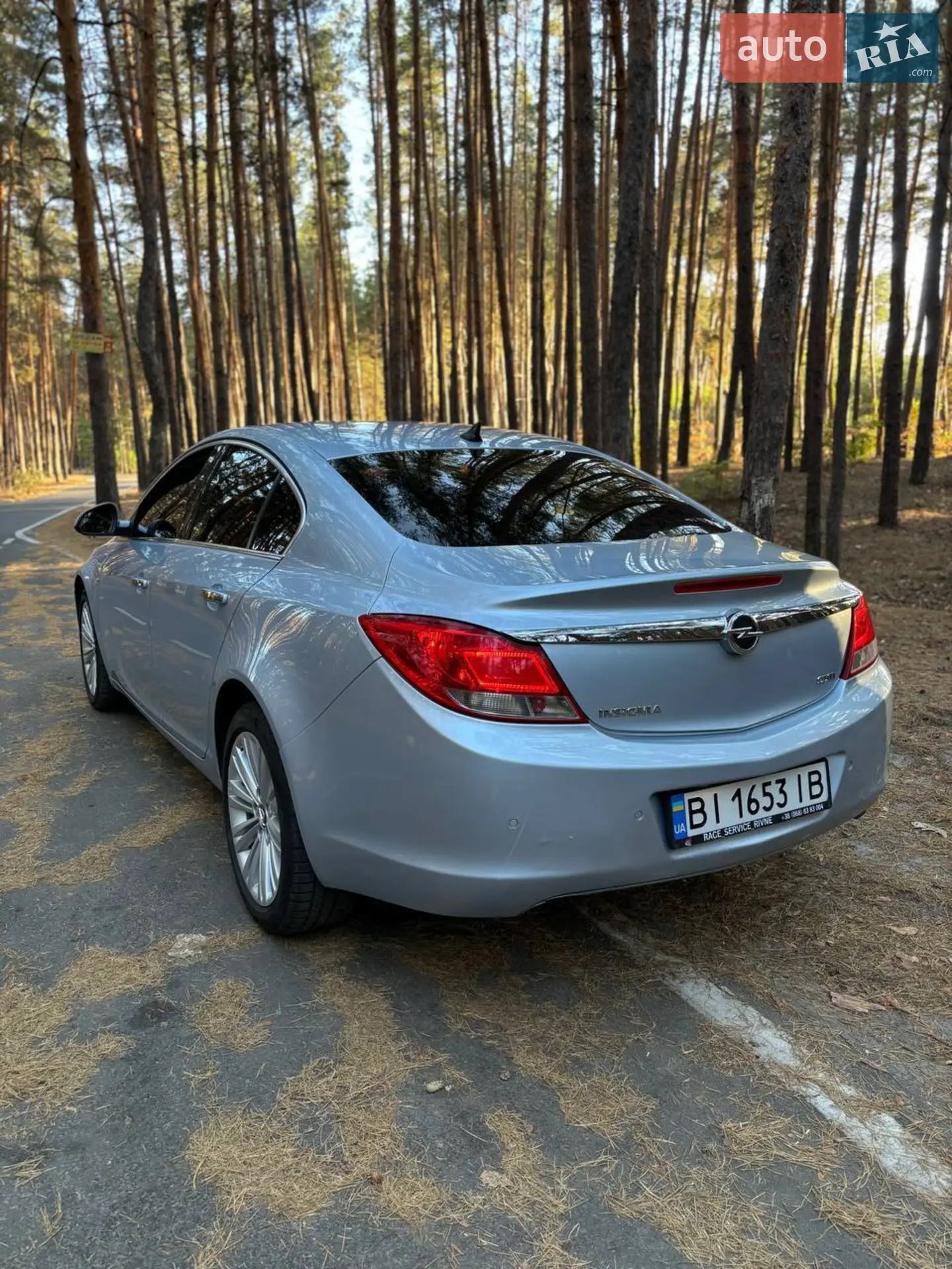 2013 Opel Insignia - мініатюра 4