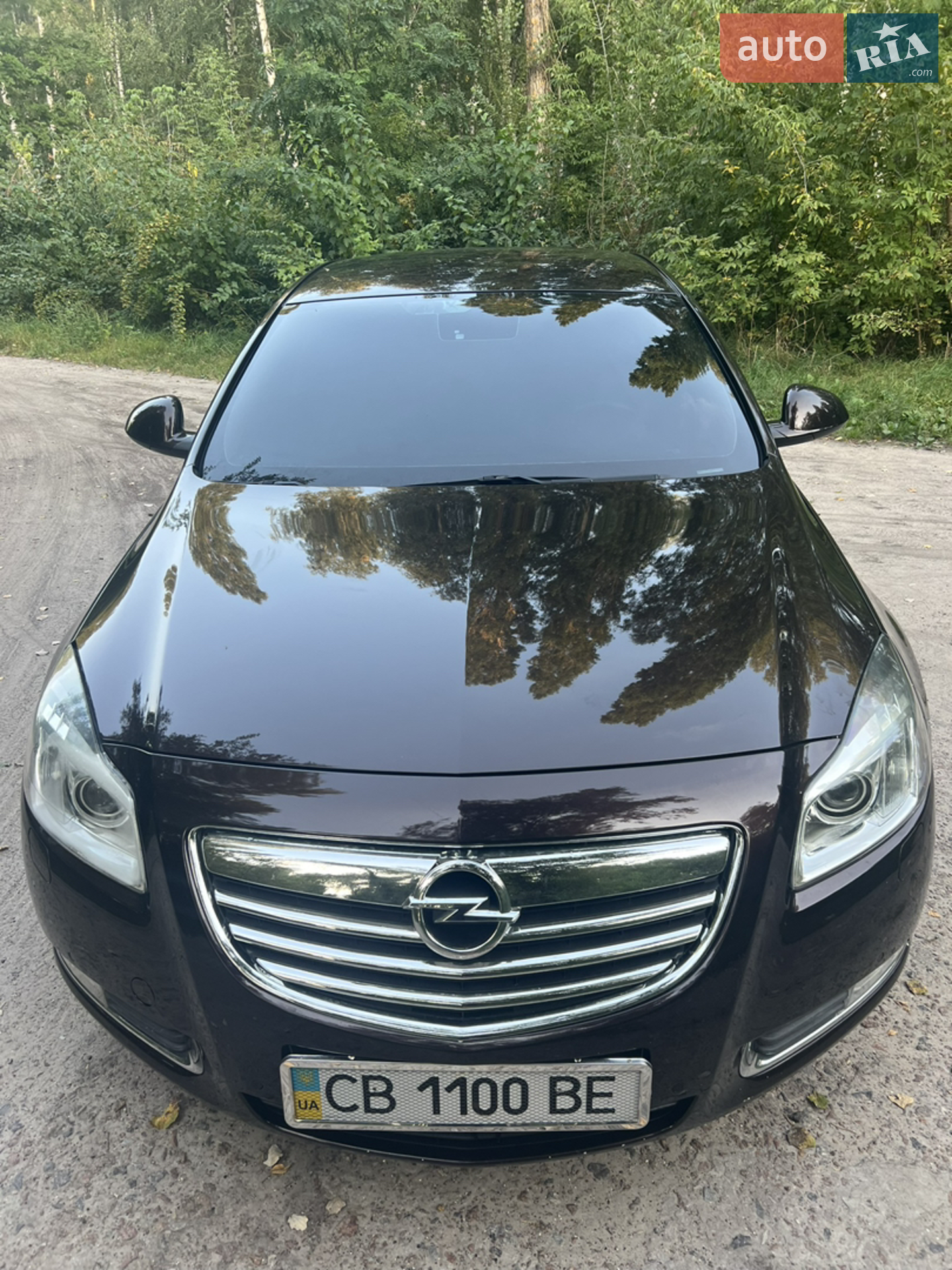 2012 Opel Insignia - мініатюра 2