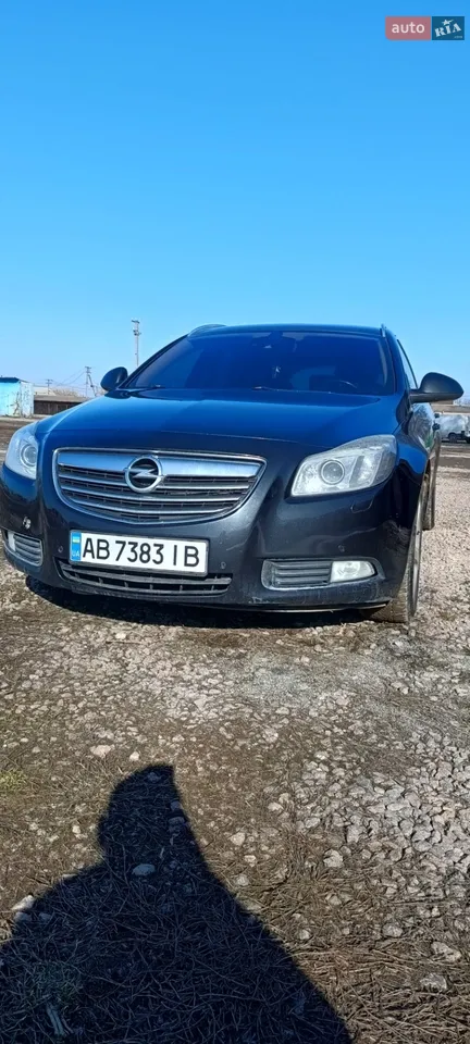 2010 Opel Insignia - мініатюра 18