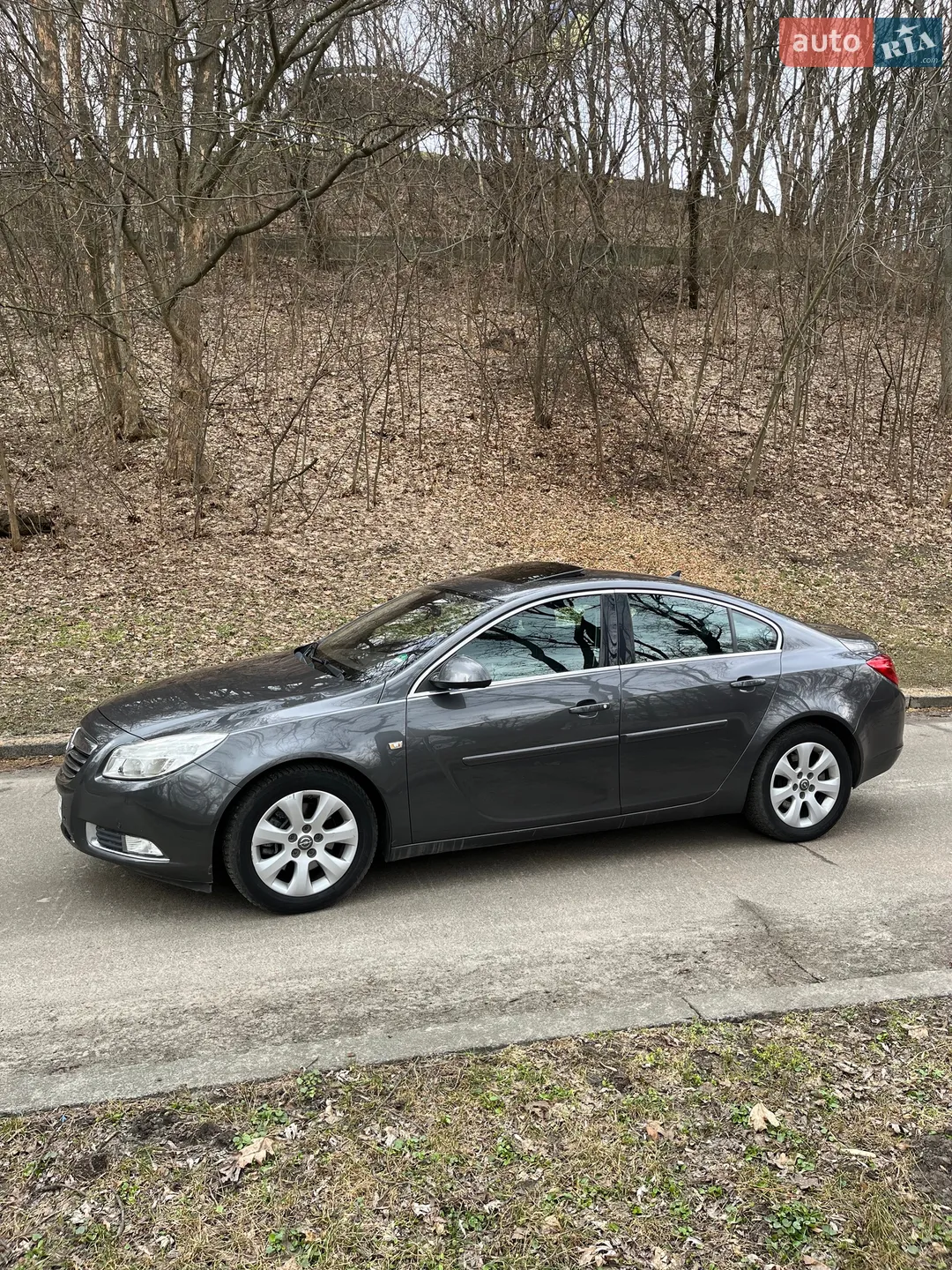 2010 Opel Insignia - мініатюра 2