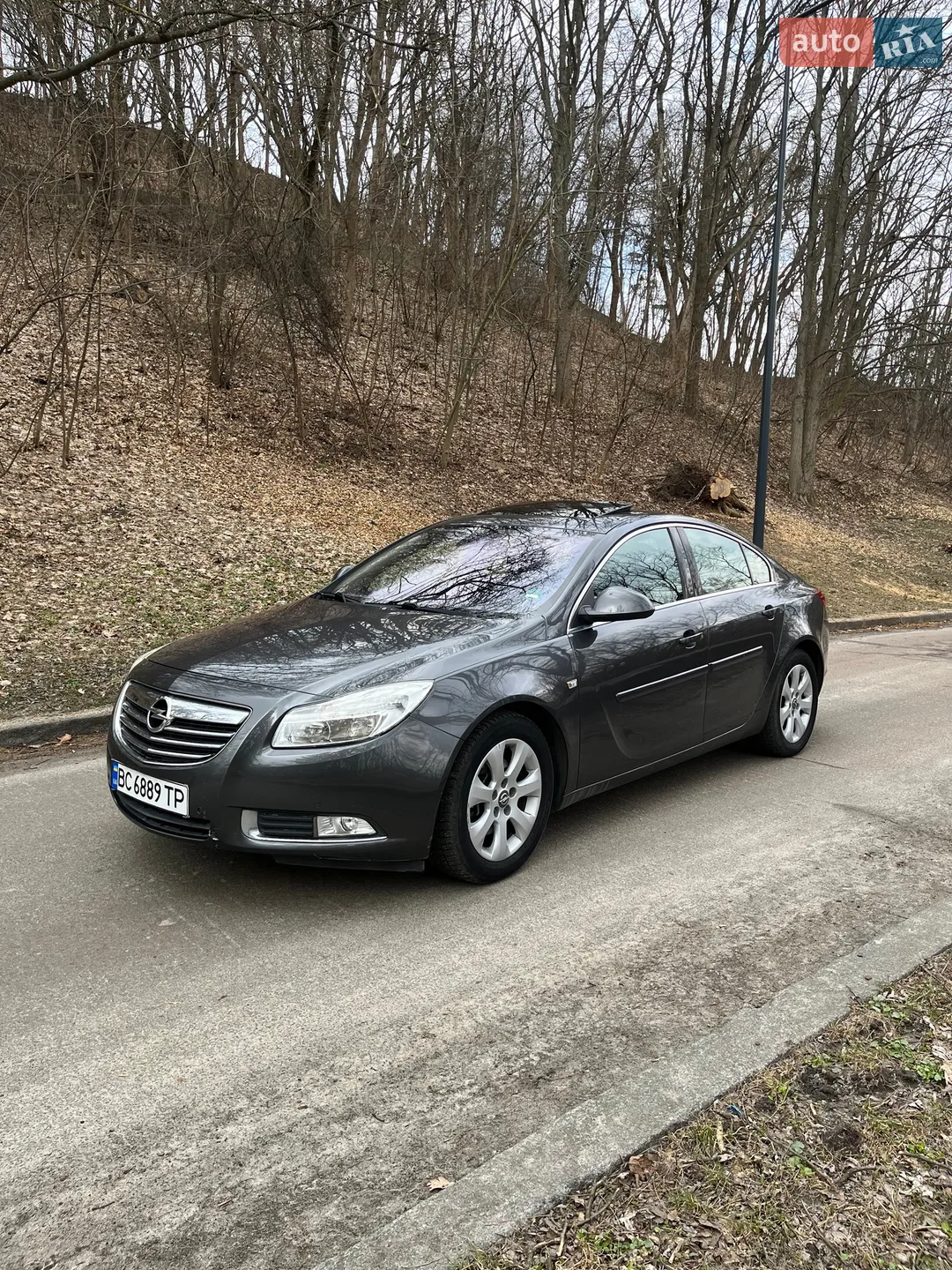 2010 Opel Insignia - фото 1