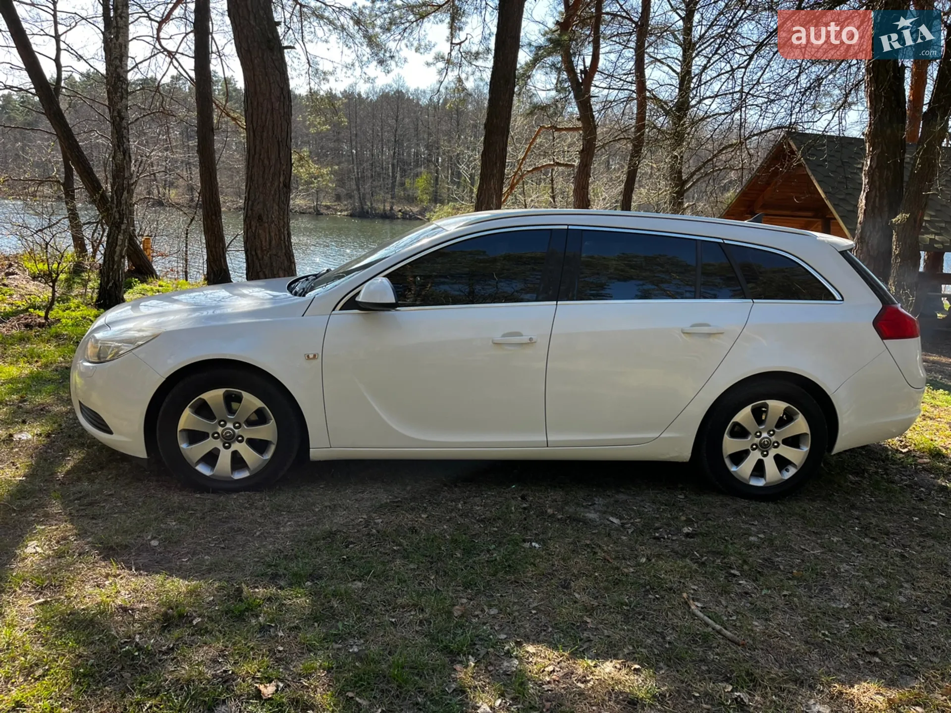 2010 Opel Insignia - мініатюра 3