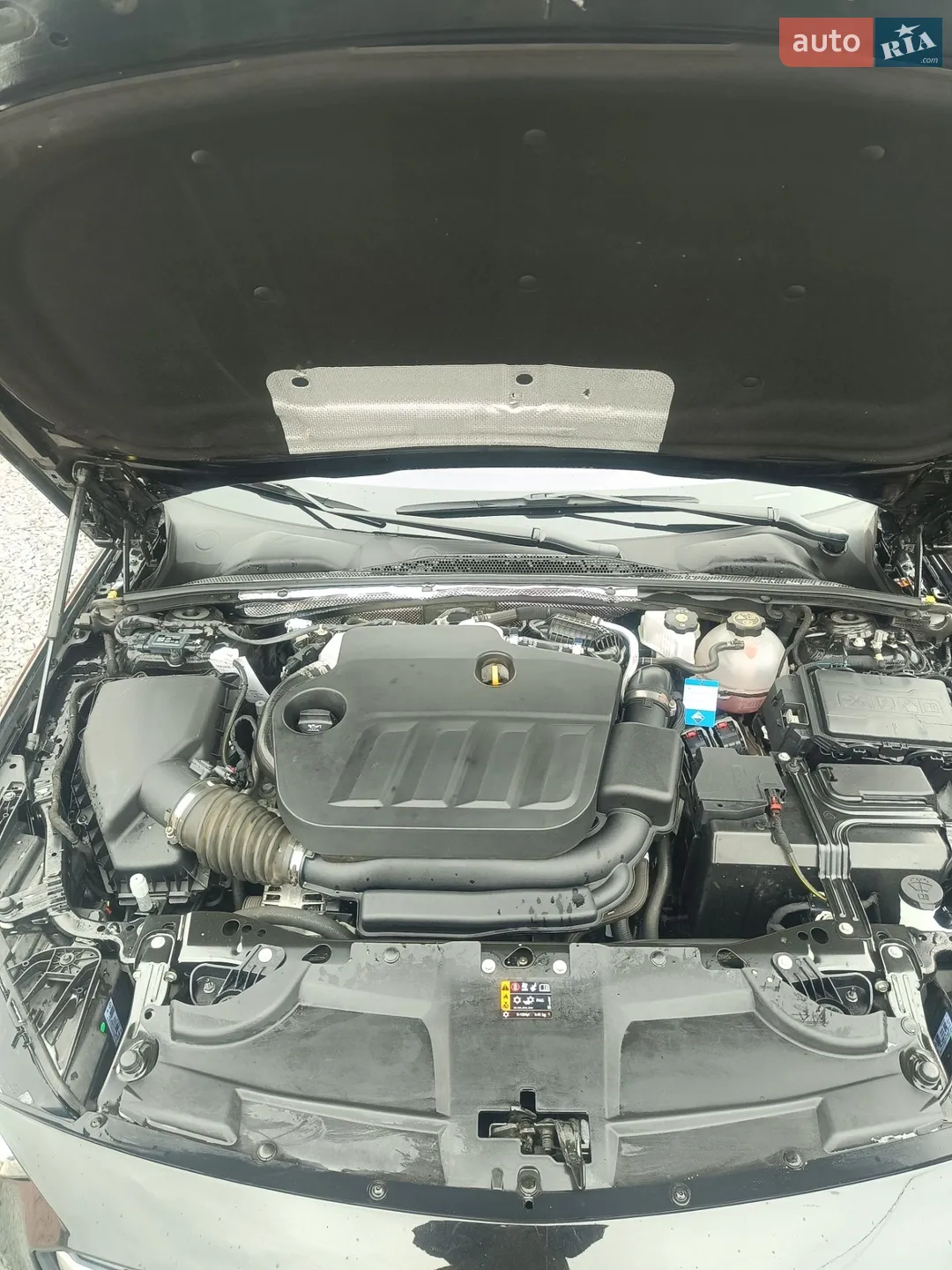 2021 Opel Insignia - мініатюра 69