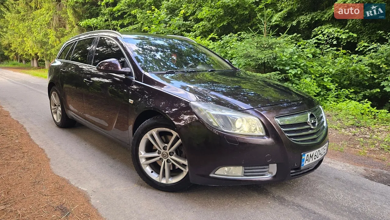 2010 Opel Insignia - мініатюра 16