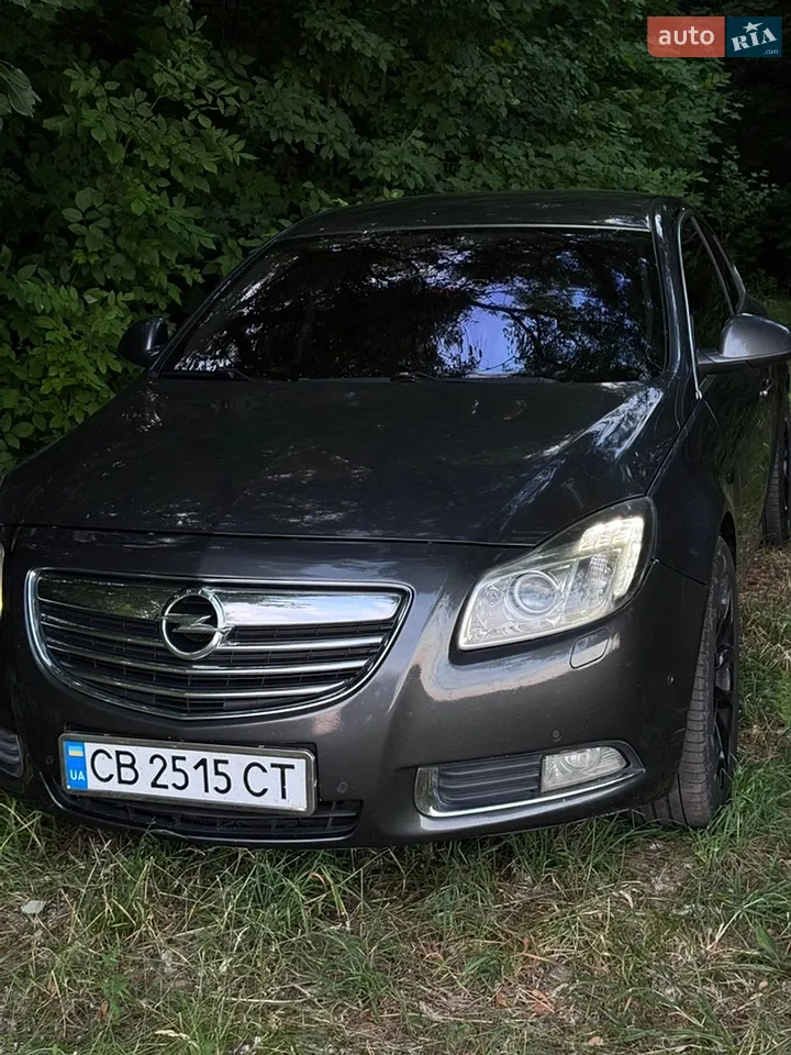2010 Opel Insignia - мініатюра 29