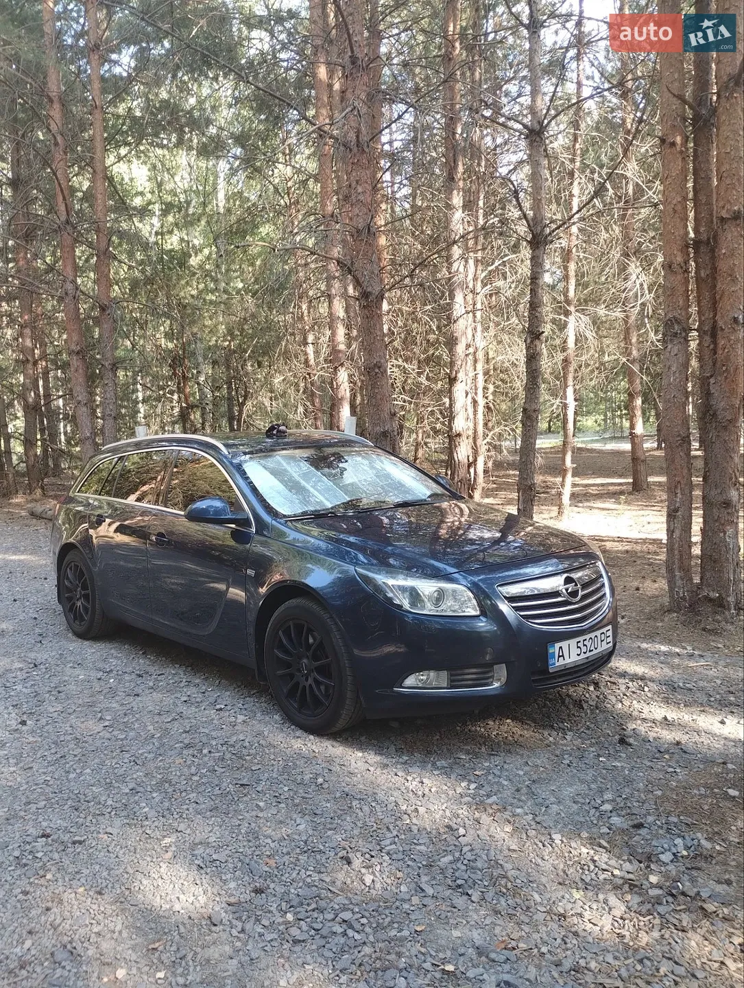 2010 Opel Insignia - мініатюра 13
