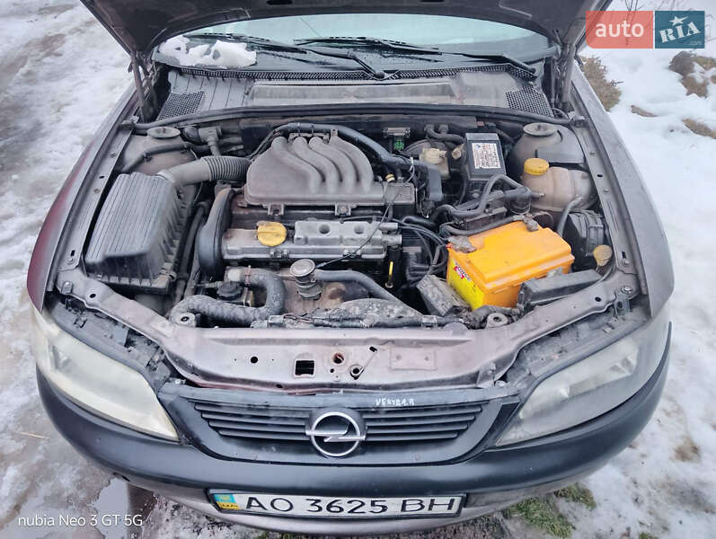 Лифтбек Opel Vectra 1998 в Солотвине