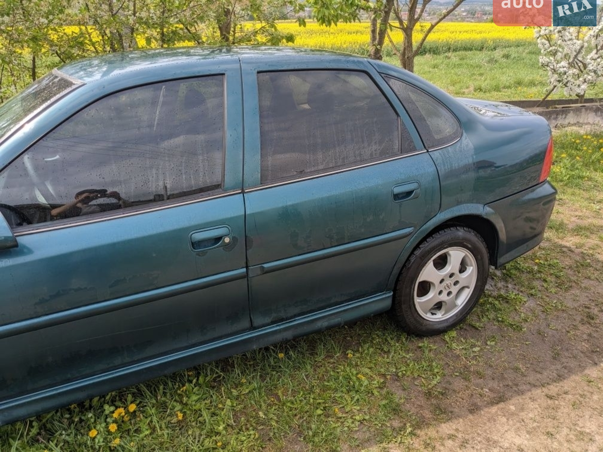 Opel Vectra 1997 VIN W0L000036V1061993 фото оголошення 20 з 20