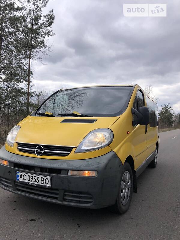 Минивэн Opel Vivaro 2004 в Камне-Каширском