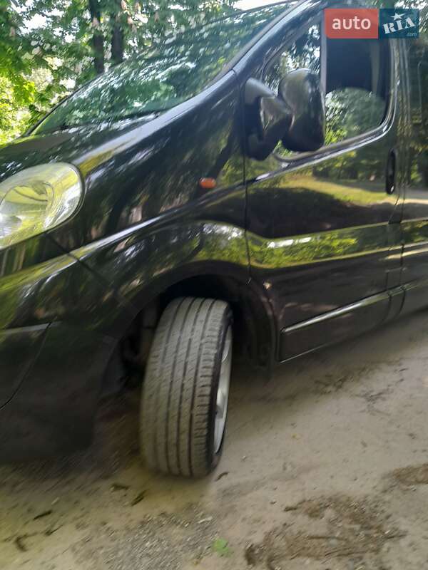 Минивэн Opel Vivaro 2007 в Городенке