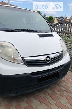 Минивэн Opel Vivaro 2008 в Хмельницком