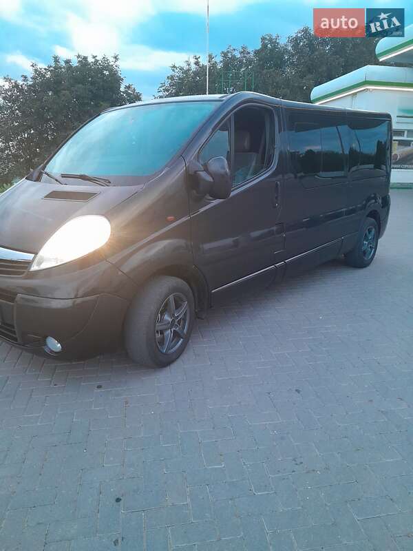 Минивэн Opel Vivaro 2007 в Городенке