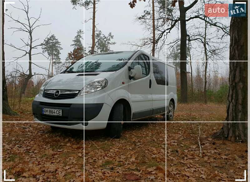 Минивэн Opel Vivaro 2012 в 