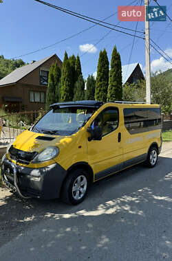Минивэн Opel Vivaro 2003 в Синевире