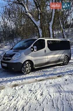 Минивэн Opel Vivaro 2013 в Южноукраинске
