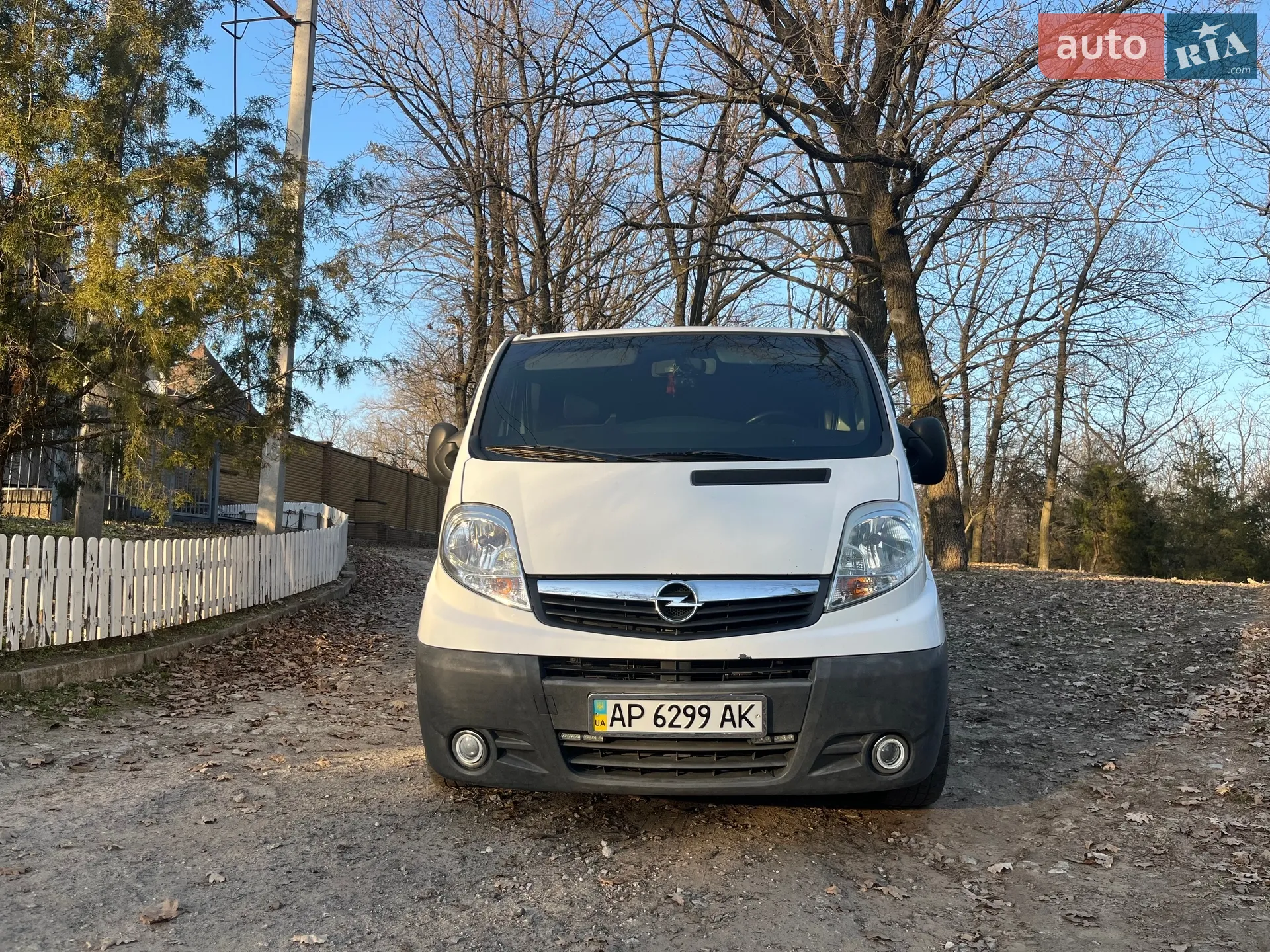2010 Opel Vivaro - мініатюра 2