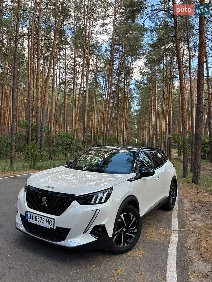 2019 Peugeot 2008 - мініатюра 18