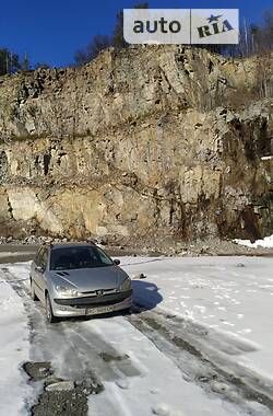 Универсал Peugeot 206 2004 в Житомире