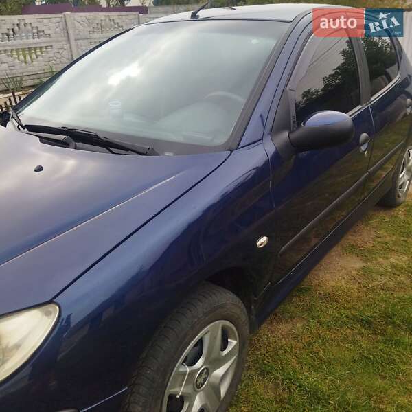 Хетчбек Peugeot 206 2006 в Ставищі