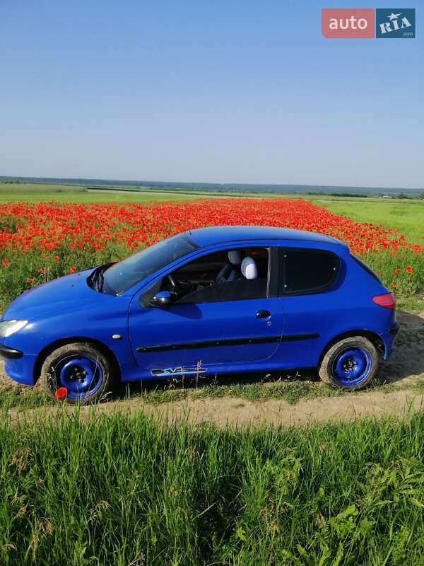 Хетчбек Peugeot 206 2001 в Новодністровську